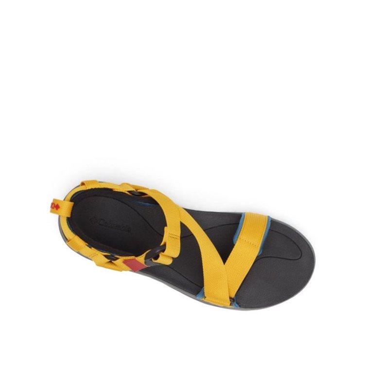 Pánské Sandály Columbia Sandal Blankyt Zlaté Žluté | TZAP-21658